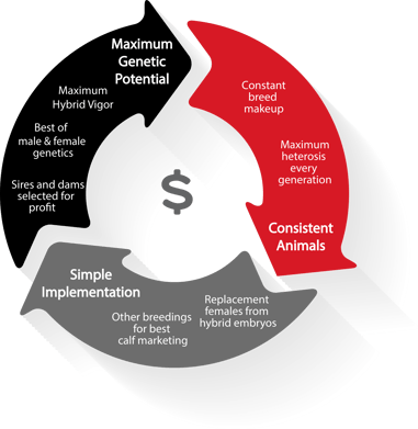 GenPlus_Embryo_Benefits