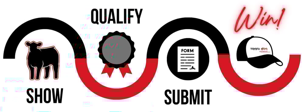 Genetic Achievers Process Graphic