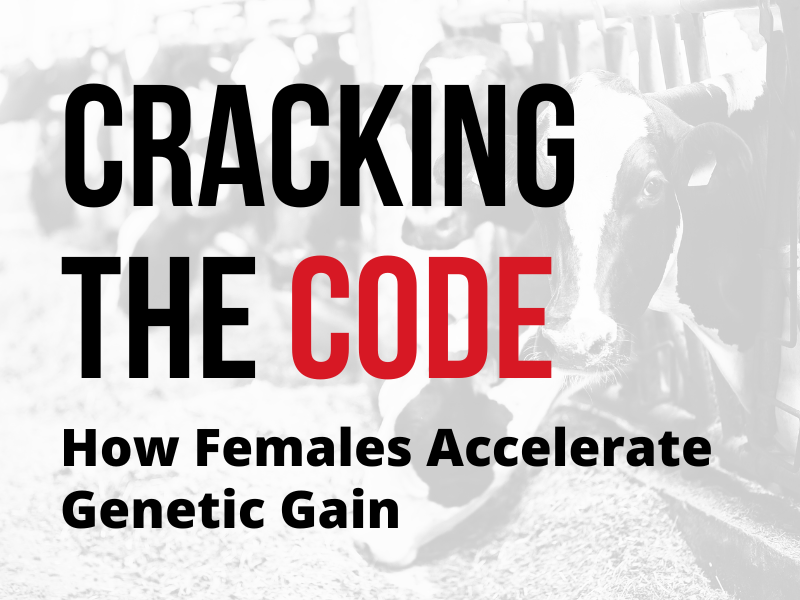 Cracking the Code