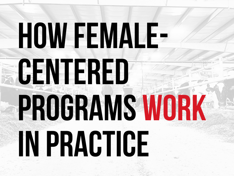 How Female Centered Programs Work in Practice