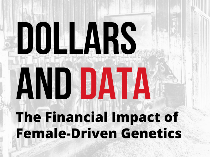Dollars and Data