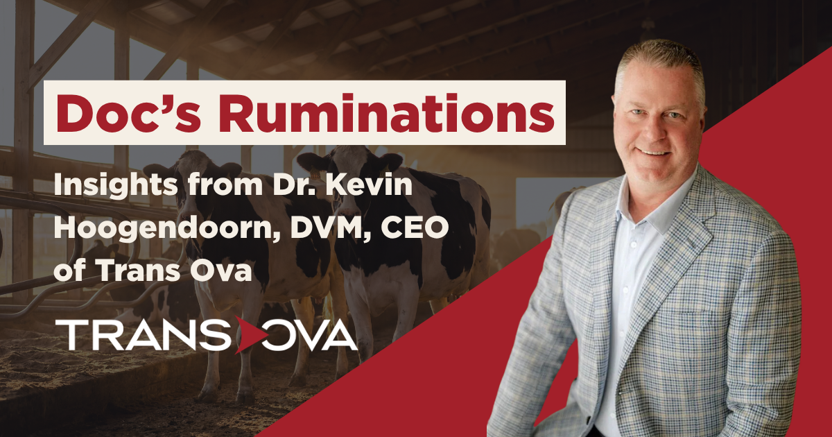 Docs Ruminations Blog Header